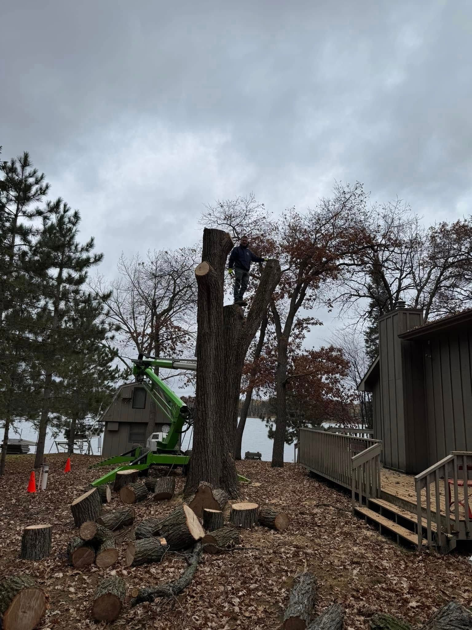 A man is standing on top of a tree stump.