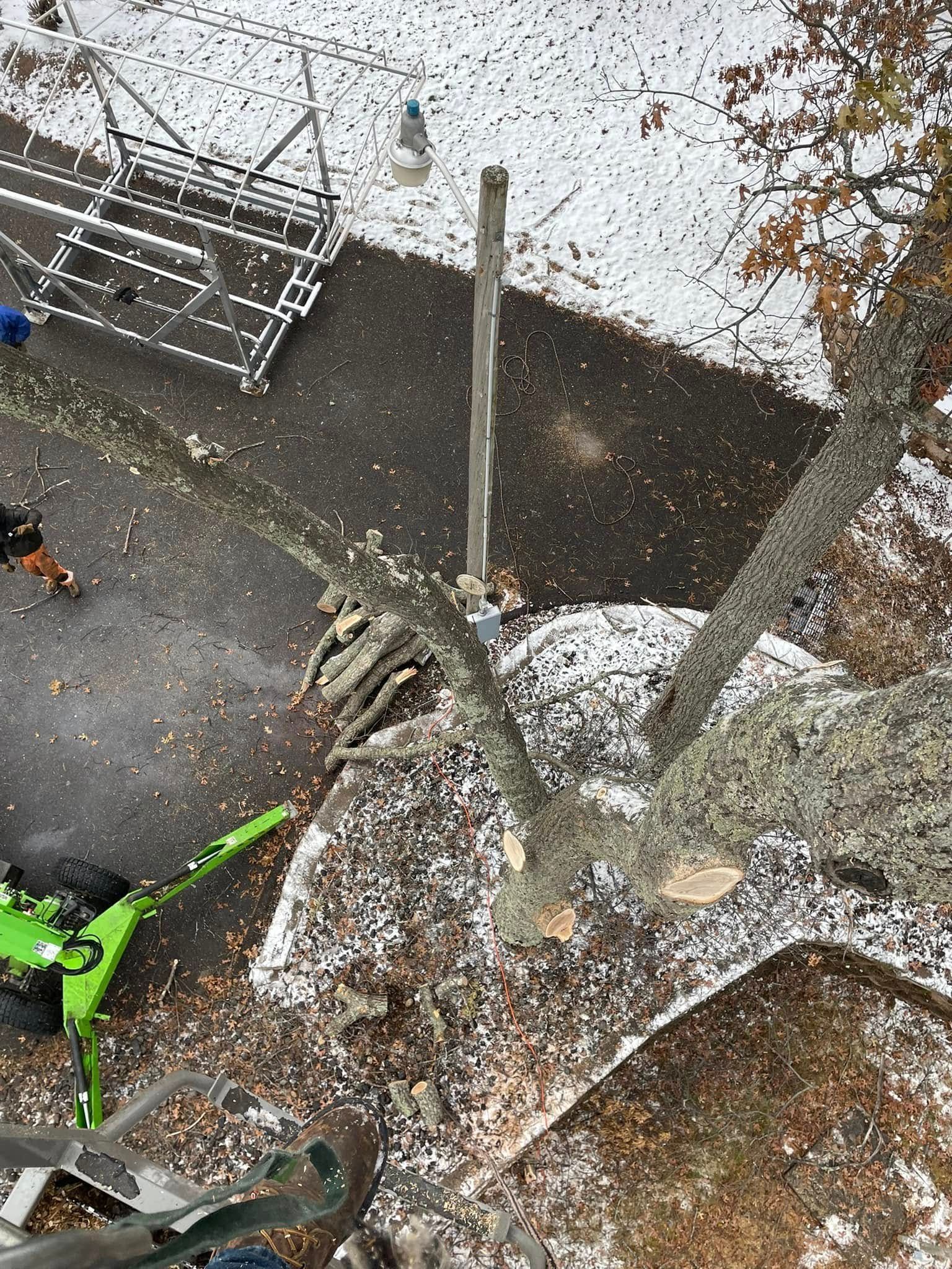 An aerial view of a tree being cut down in the snow.