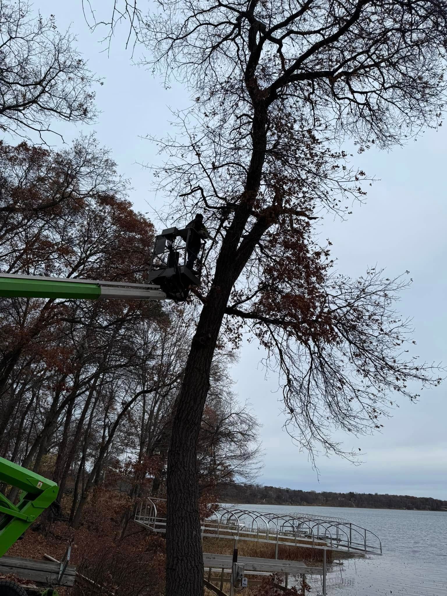 A man is cutting a tree with a crane.