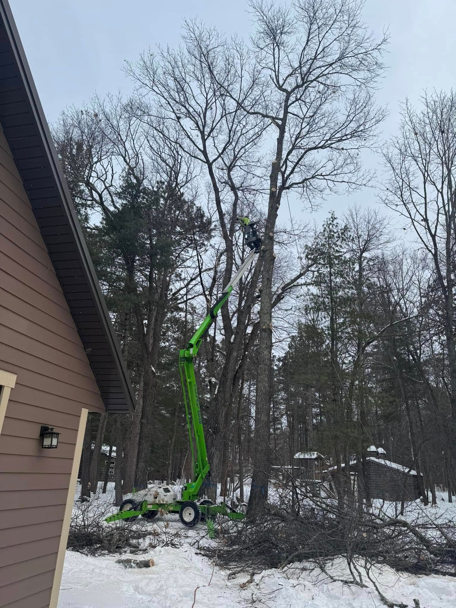 A green crane is cutting a tree in the snow in front of a house.
