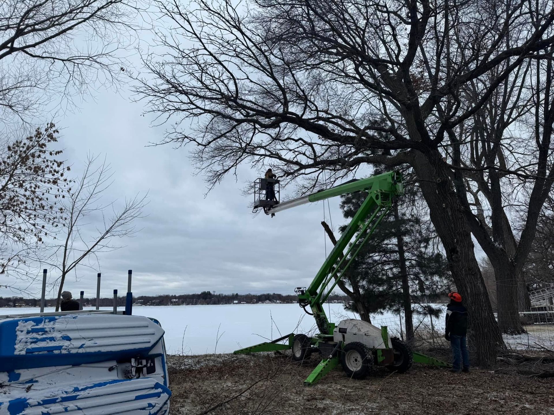 A man is cutting a tree with a crane.
