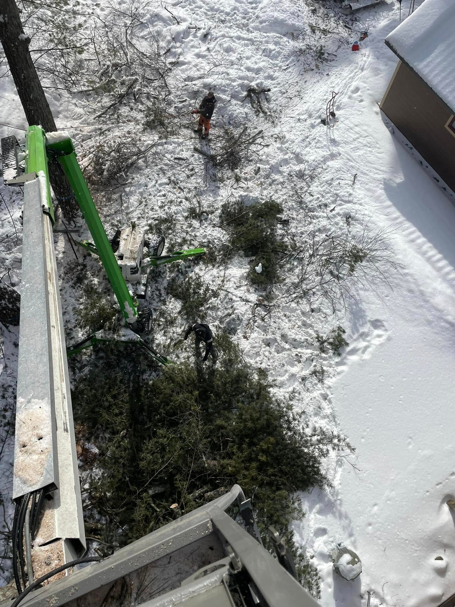 A pile of junk is laying in the snow next to a tree.
