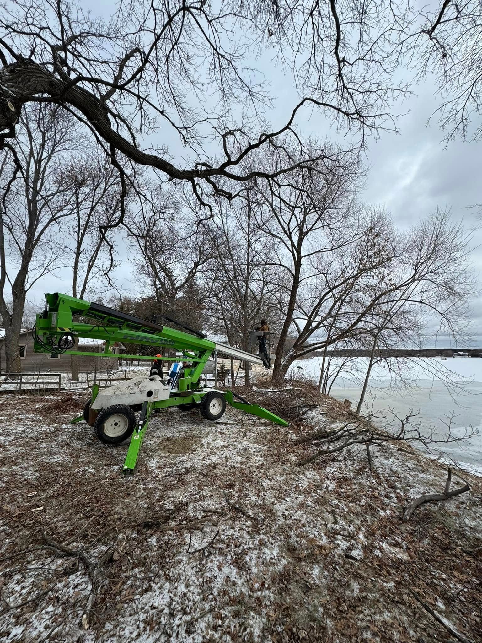 A green crane is cutting a tree on the shore of a lake.