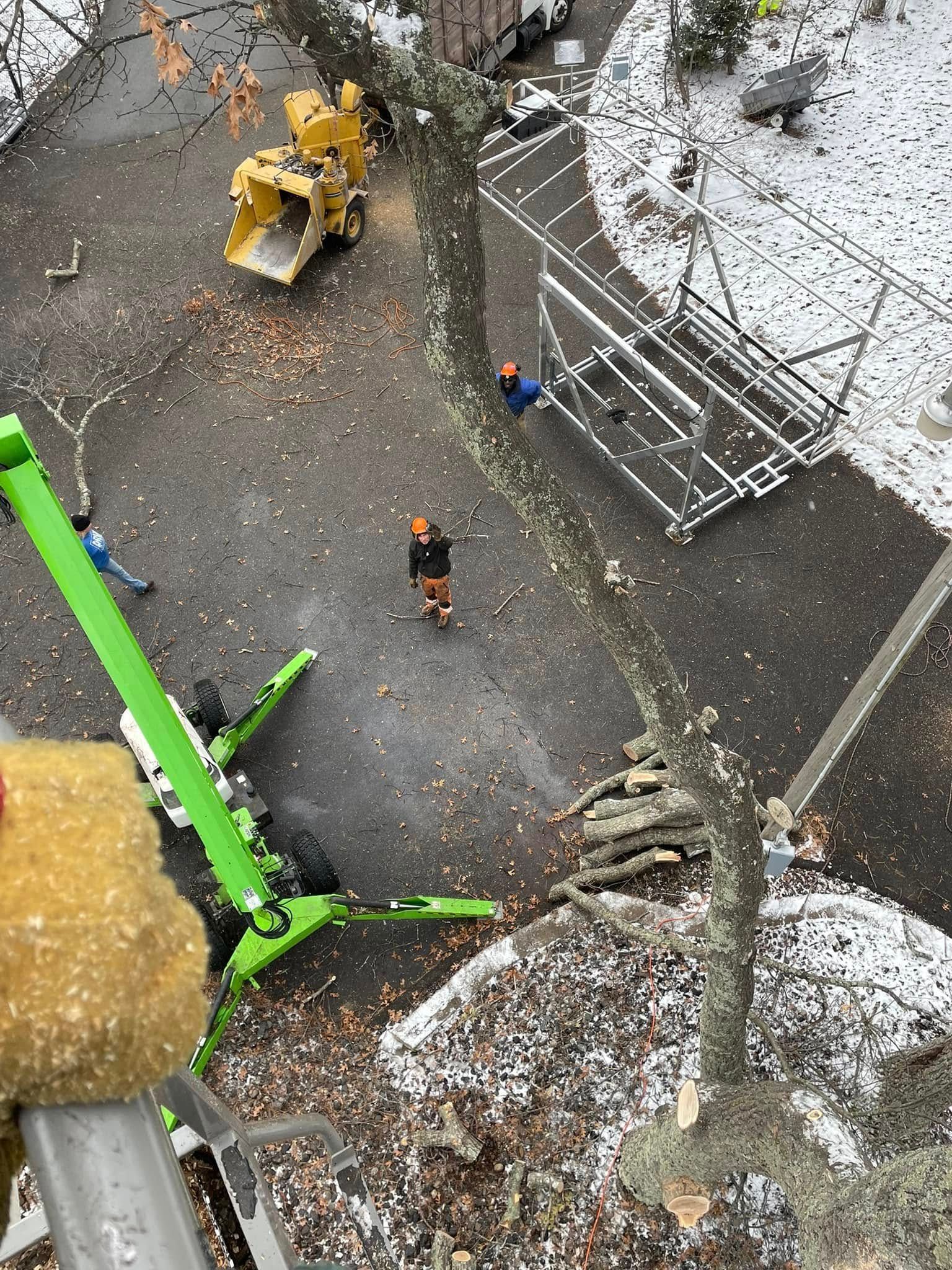 An aerial view of a tree being cut down by a crane.