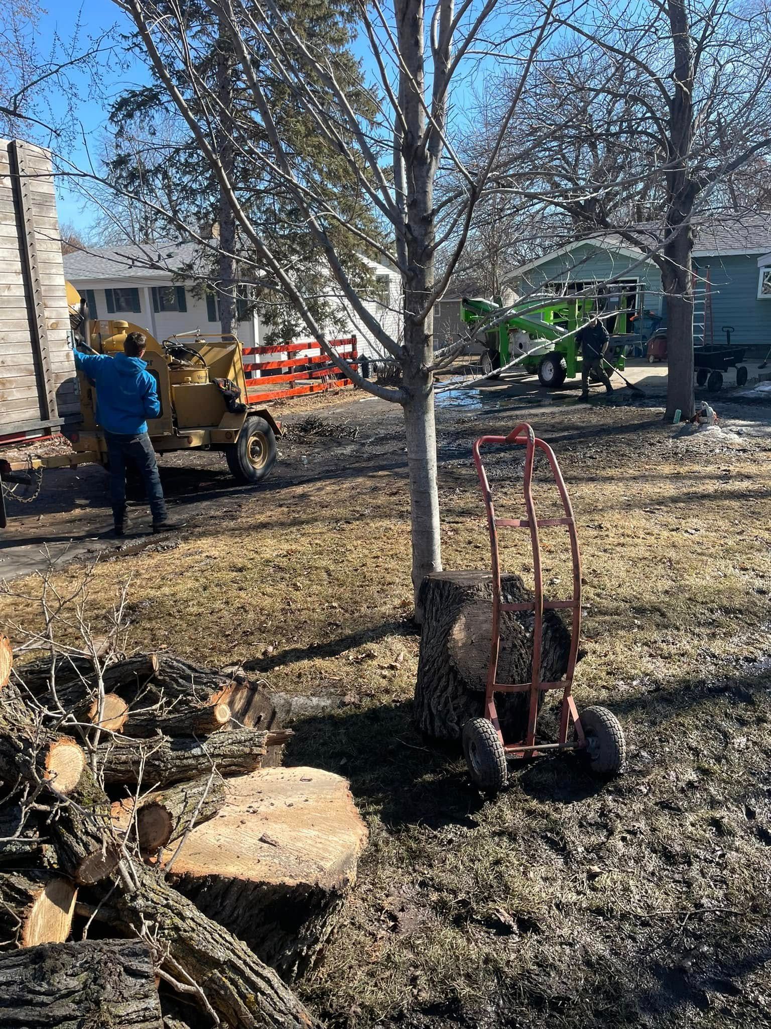 A man is standing next to a tree stump in a yard.