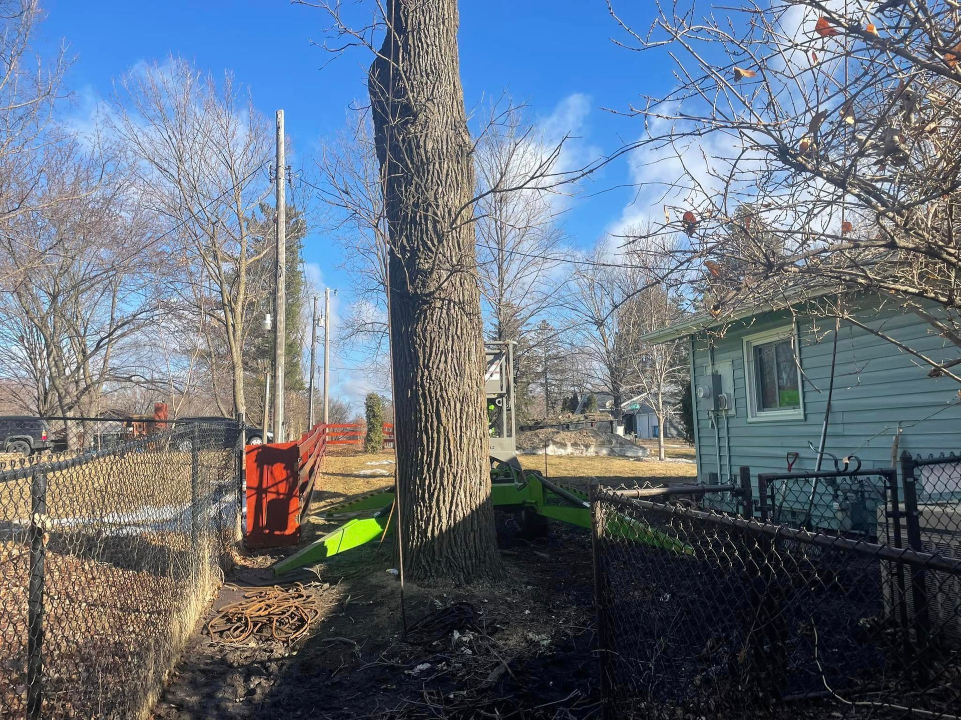 A tree is being cut down in front of a house.