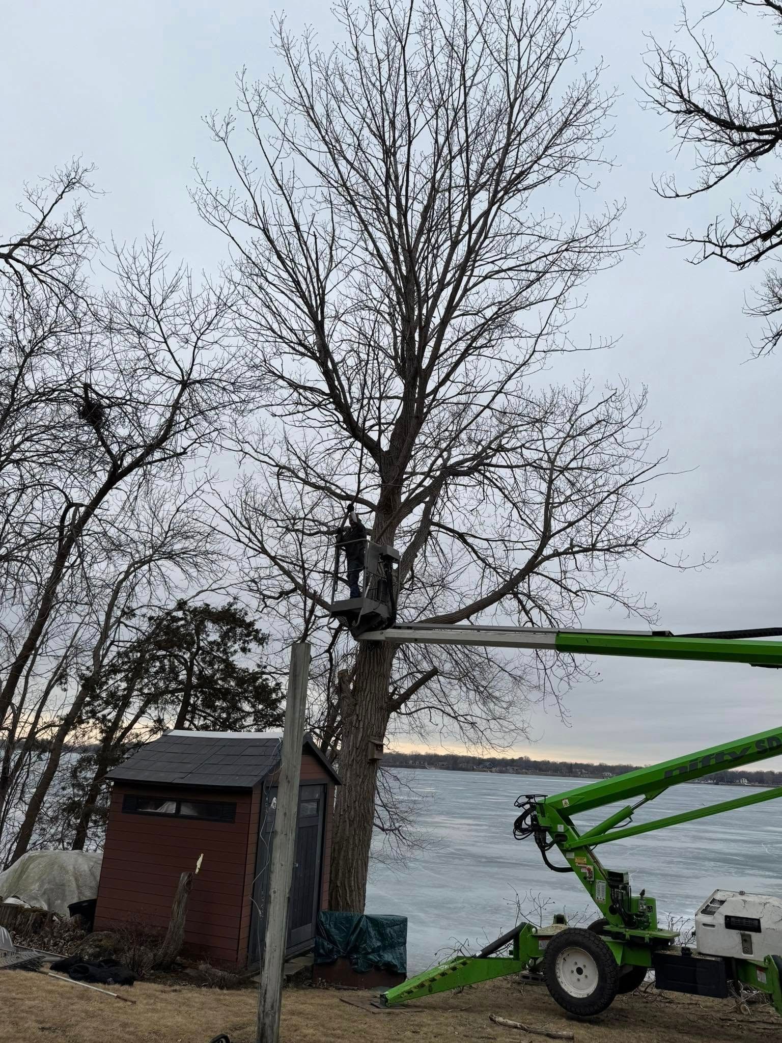 A man is cutting a tree with a crane.