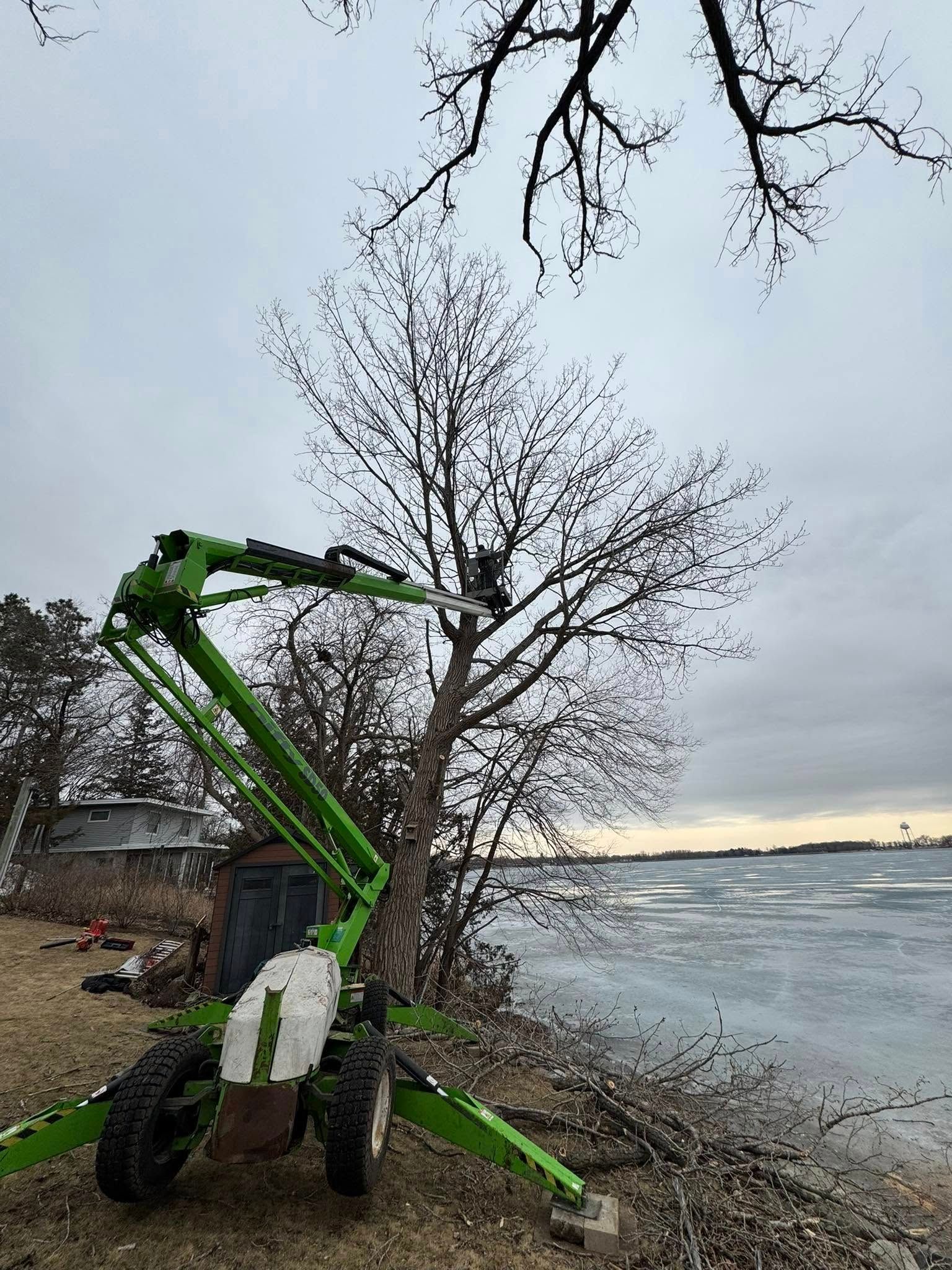 A green crane is cutting a tree on the shore of a lake.