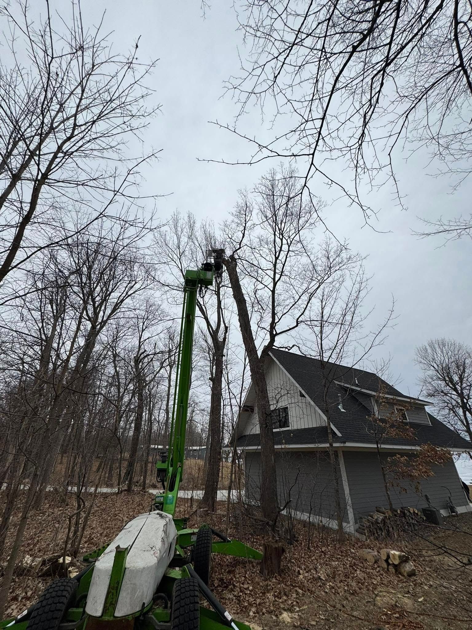 A green and white machine is cutting a tree in front of a house.