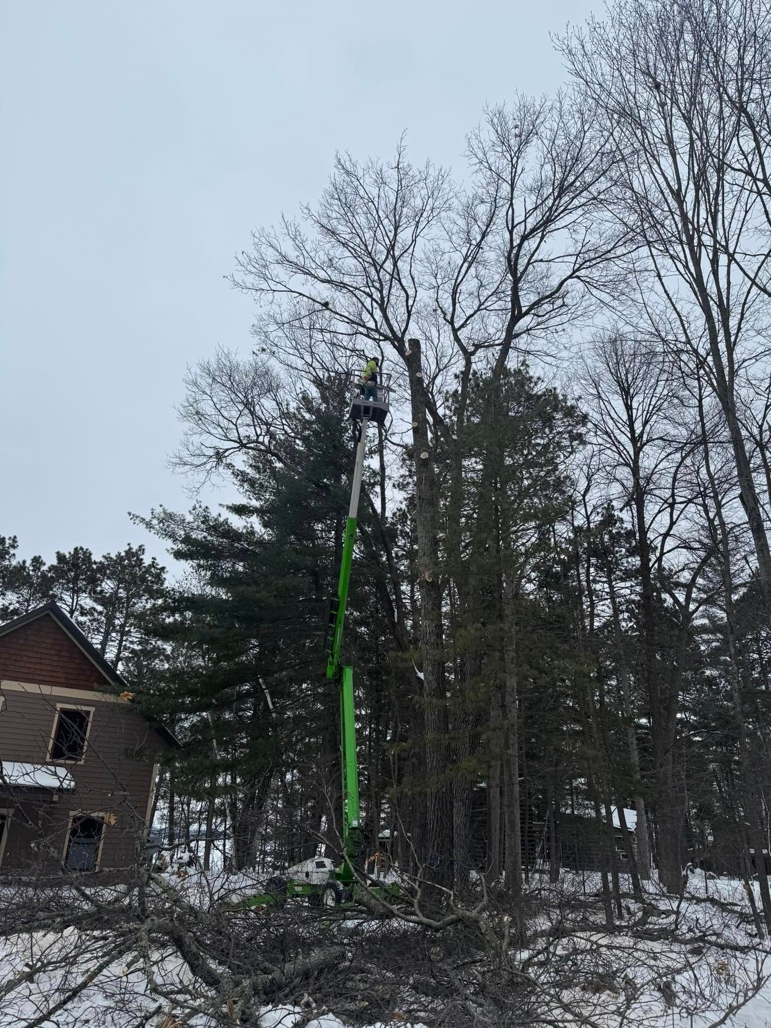 A man is cutting a tree with a crane in the snow in front of a house.