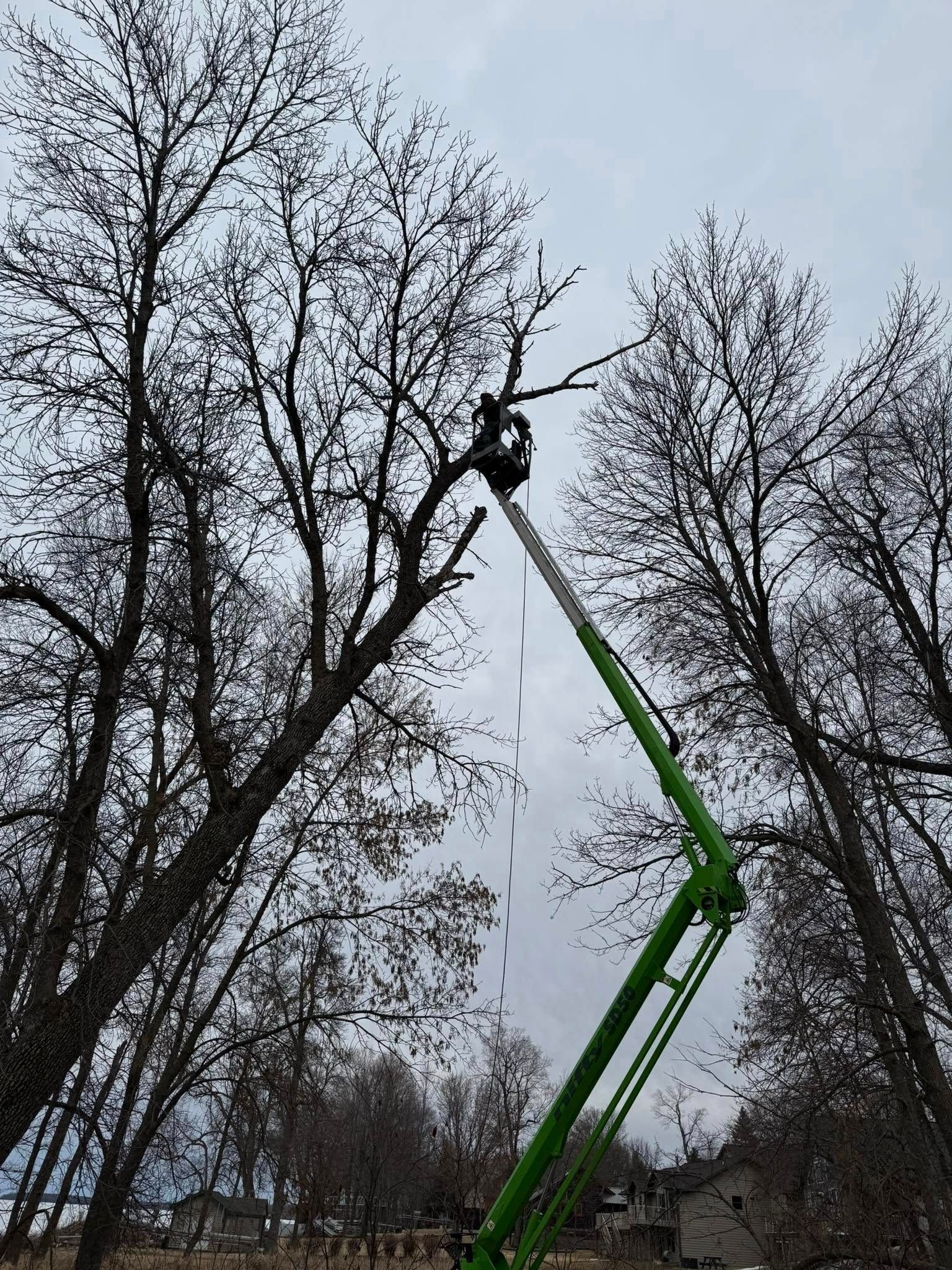 A man is cutting a tree with a crane.