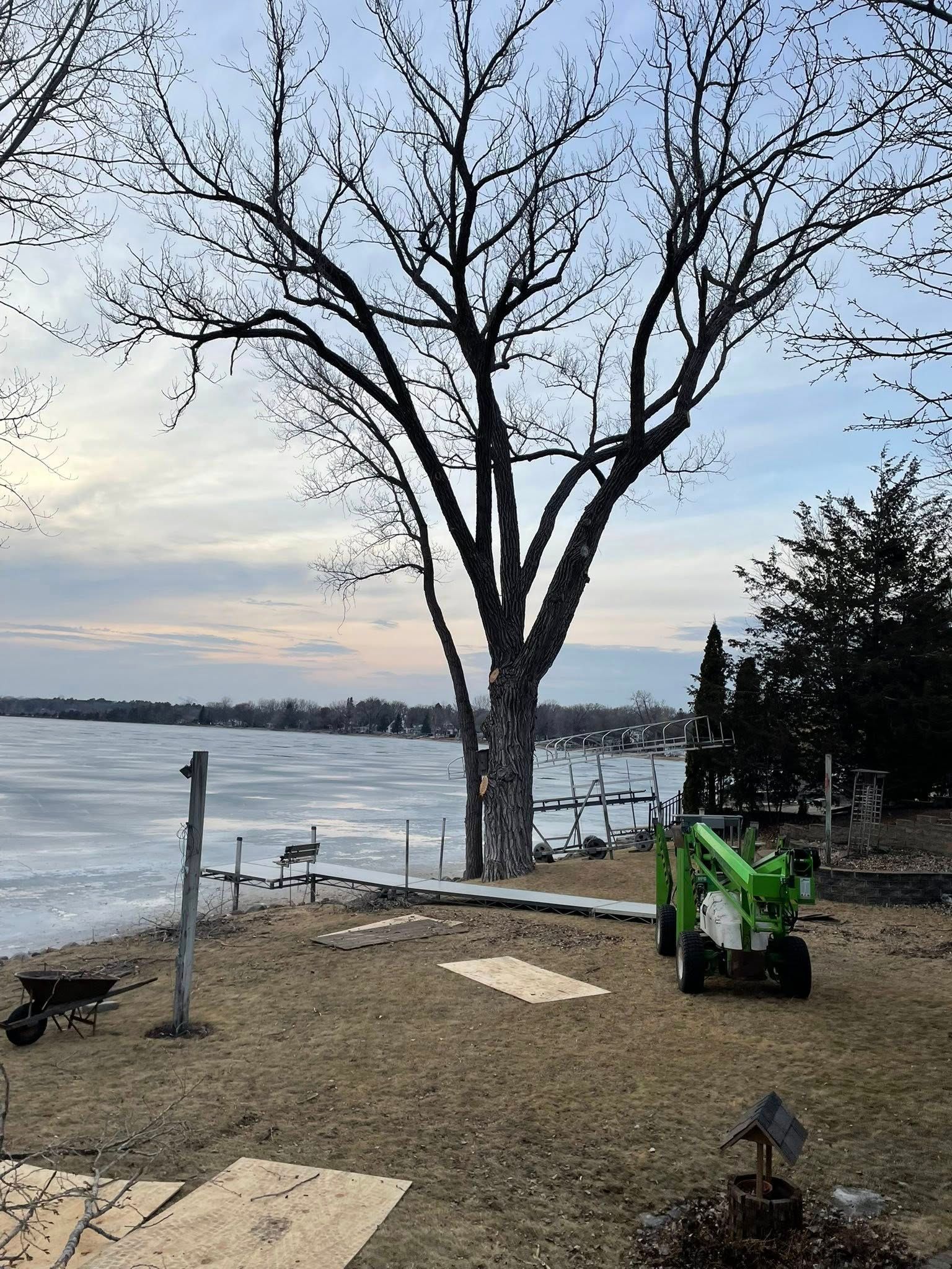A green tractor is parked in front of a large tree on the shore of a lake.