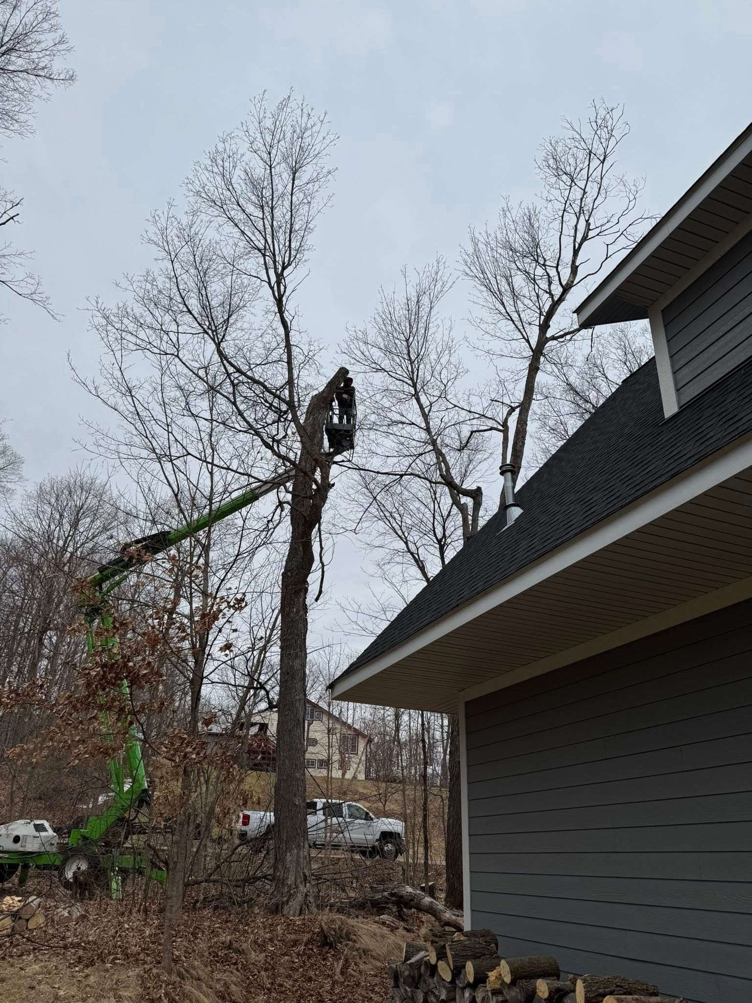 A man is cutting a tree in front of a house.