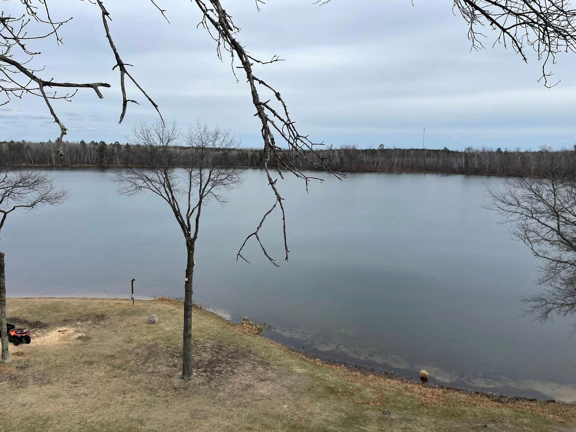 A large body of water surrounded by trees on a cloudy day