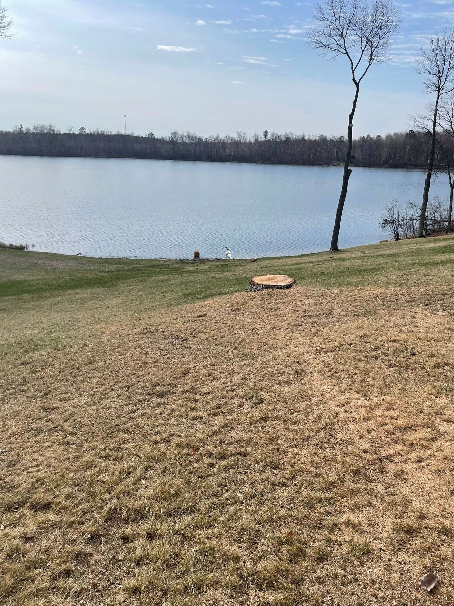 A large body of water is surrounded by trees and grass on a sunny day.