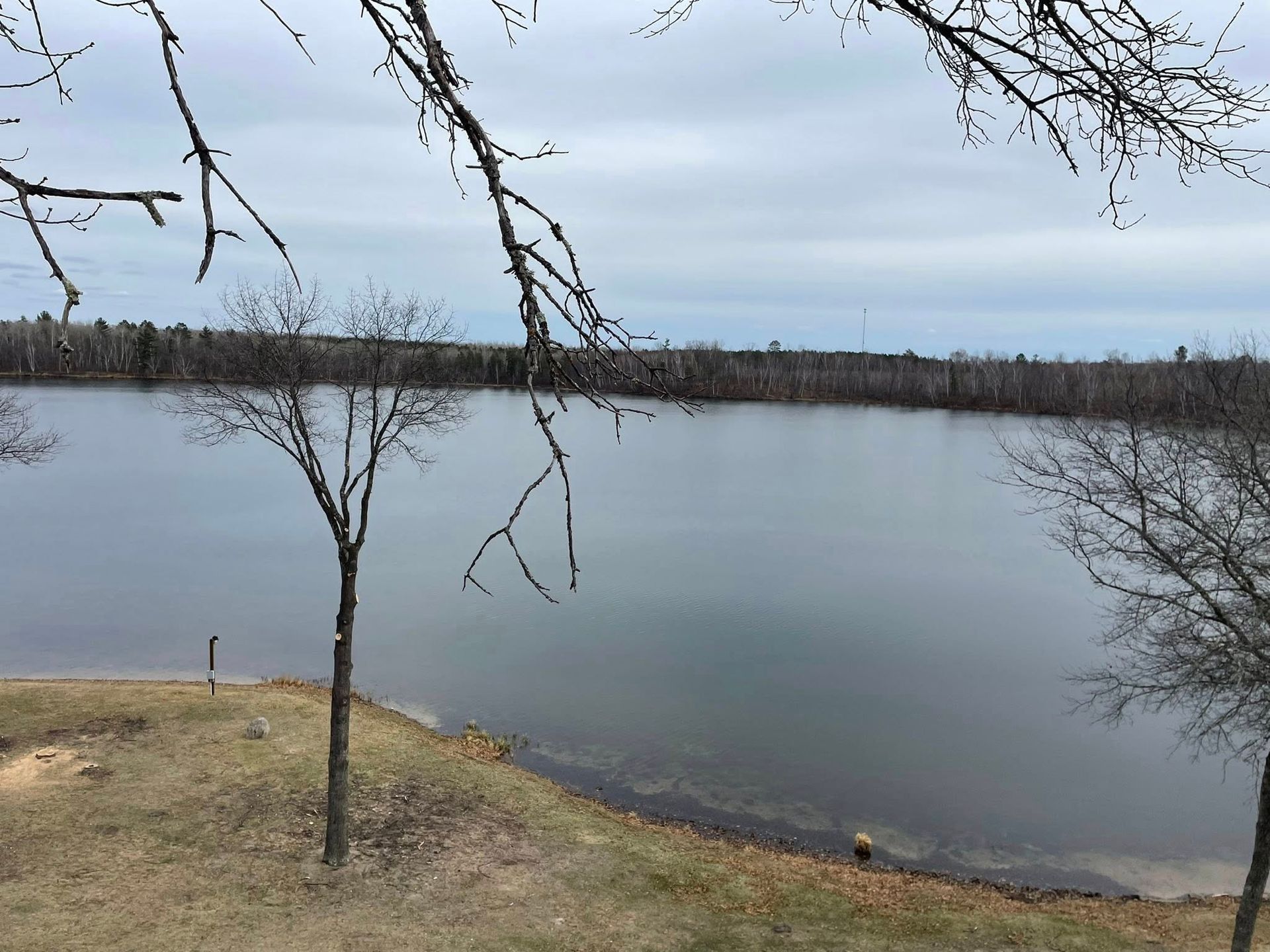 A large body of water surrounded by trees on a cloudy day