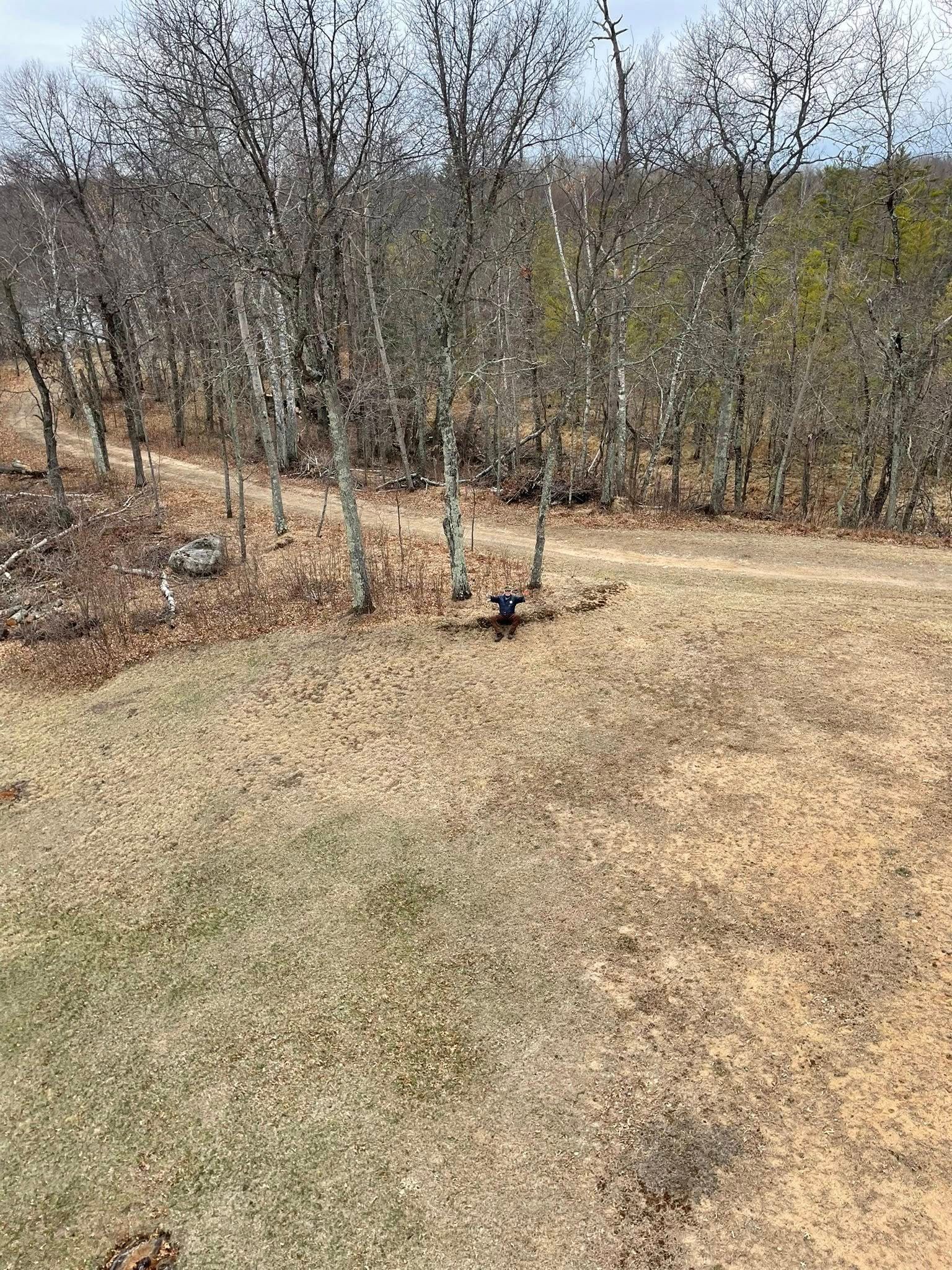A dog is standing in a field with trees in the background.