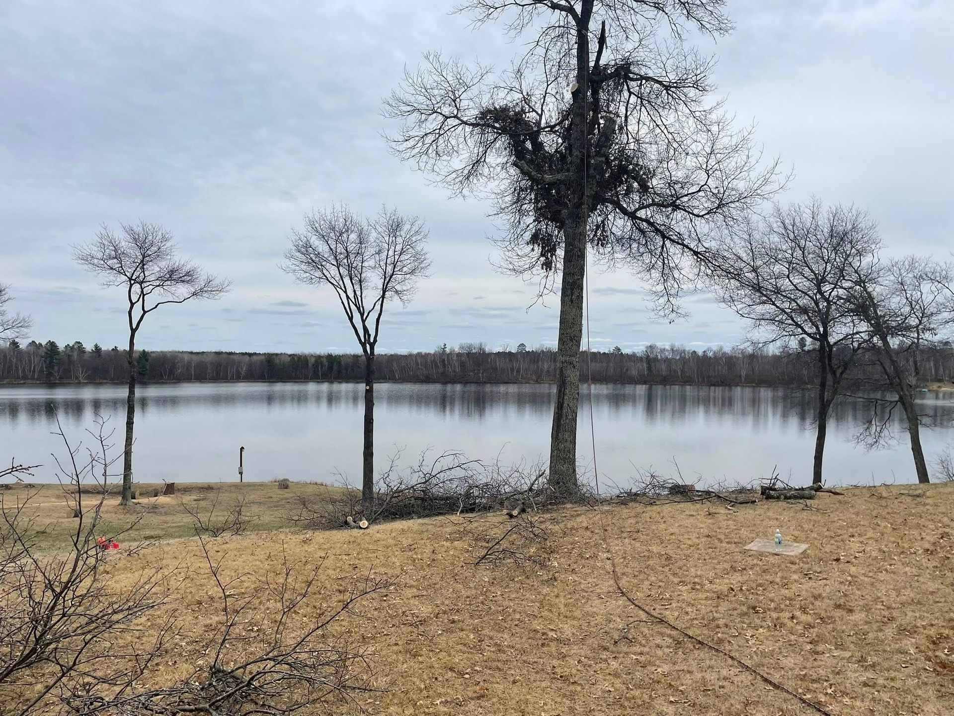 A lake with trees in the foreground and a cloudy sky in the background.