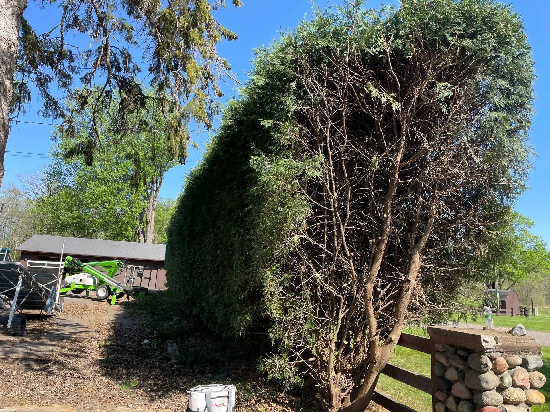 A large bush is sitting next to a stone pillar in a yard.