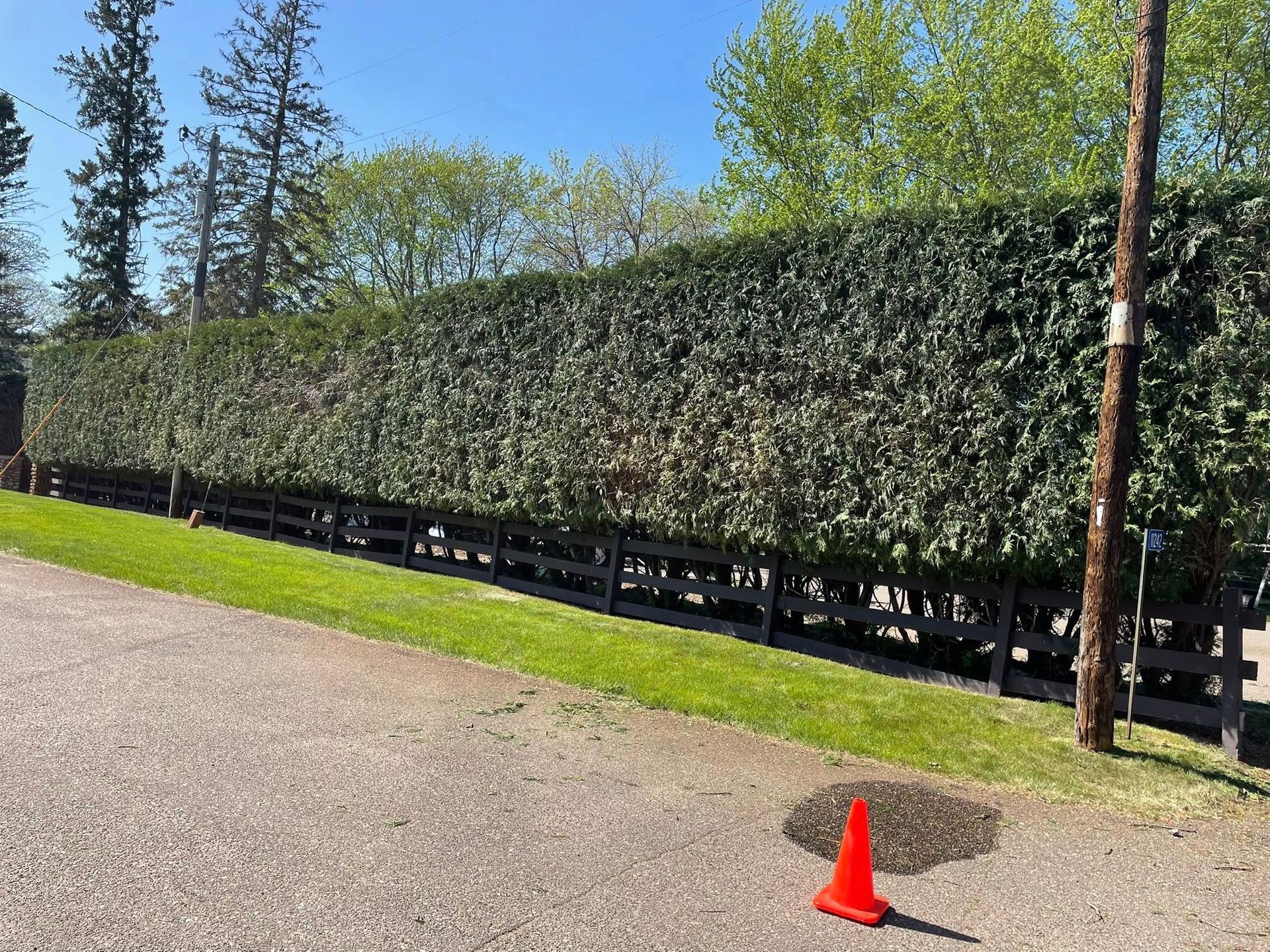 A red cone is sitting on the side of the road in front of a hedge.