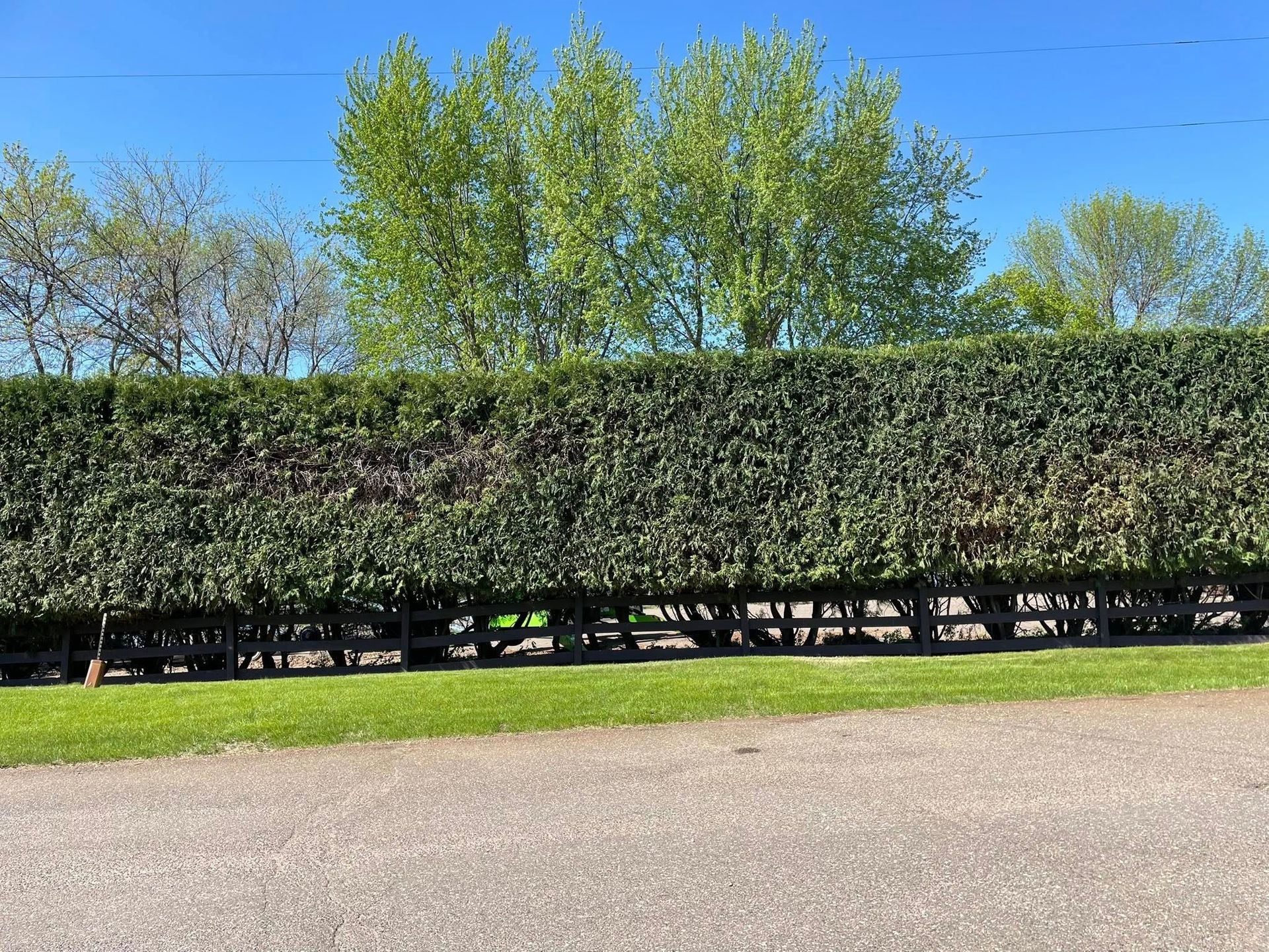 A large hedge along the side of a road with trees in the background.