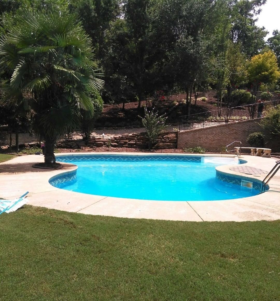A large swimming pool with a palm tree in the background