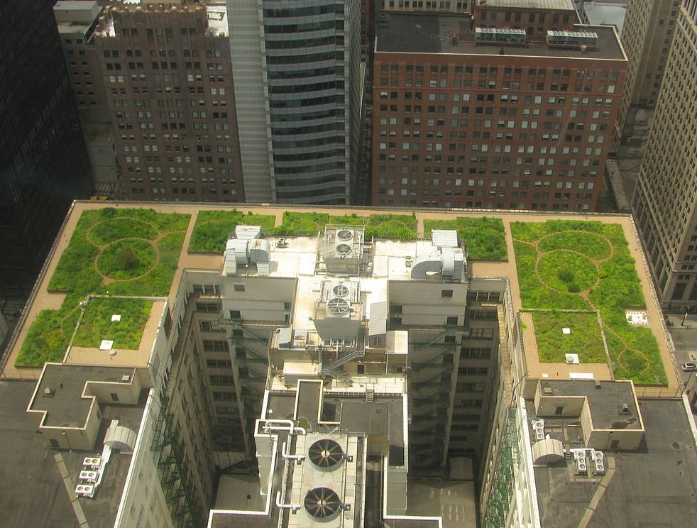Green roof on a large city building