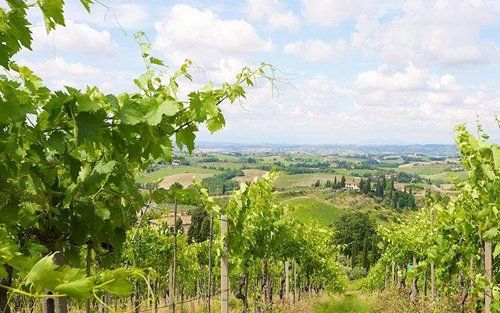Paesaggio senese