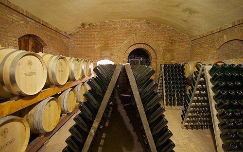 Cantina con botti di vino