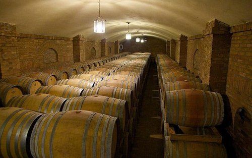 Cantina con botti di vino