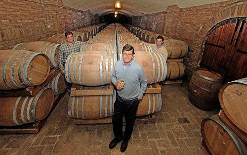 Cantina con botti di vino