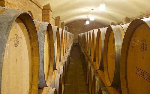 Cantina con botti di vino