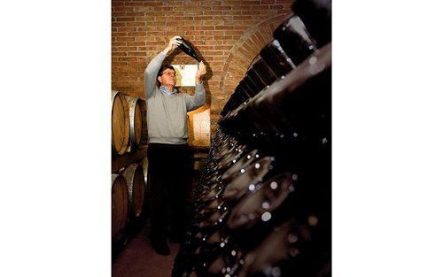 Un uomo controlla la qualità del vino in una cantina