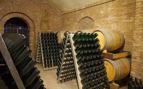 Cantina con bottiglie di vino