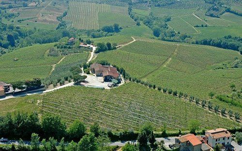 Terreni coltivati a vigneto