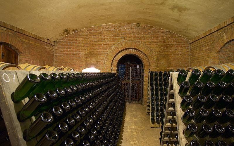 Cantina con bottiglie di vino