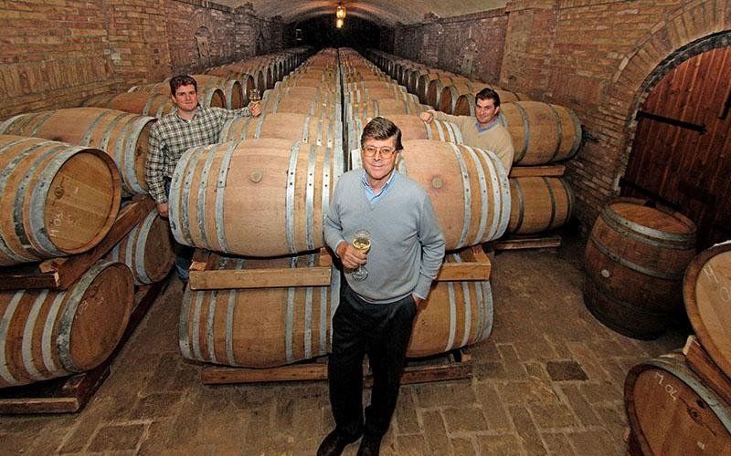 Botti di vino in una cantina