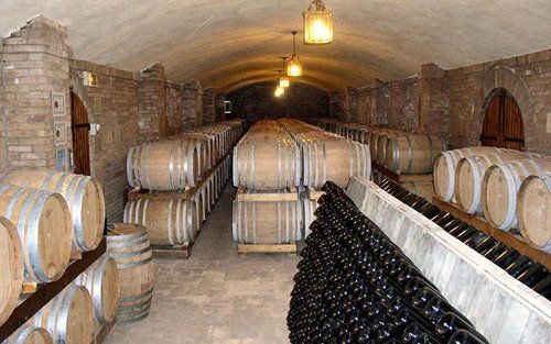 Cantina con riserve di vino