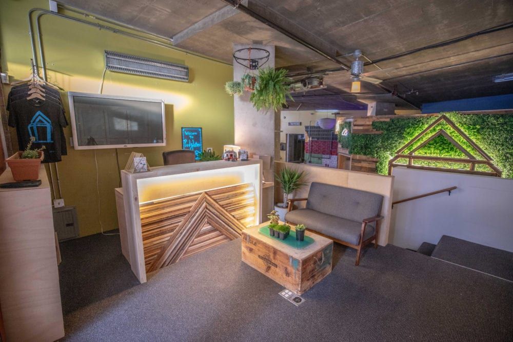 Reception area with light wood counter, sofa, and steps leading down. Green accent wall and plants.