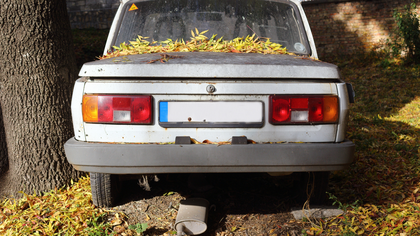 Back of a weathered white car covered in autumn leaves, parked near a tree.
