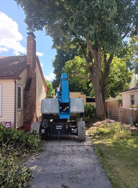 A wood chipper on a driveway; next to a house and a large tree; blue machine; sunny day.