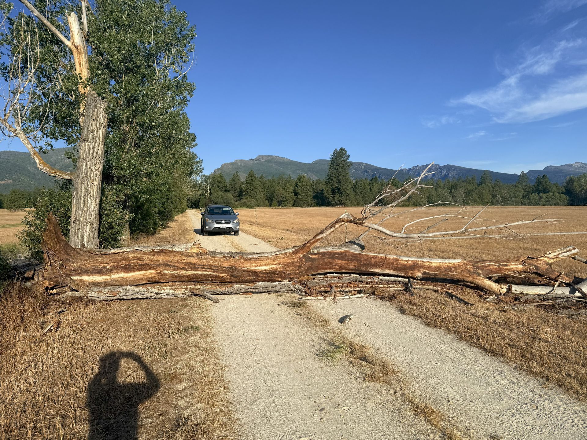 A car stopped on a dirt road blocked by a fallen tree, with mountains and blue sky in the background.