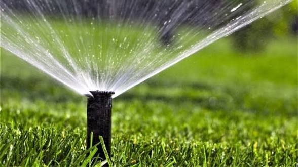 Sprinkler spraying water onto green grass in a sunny lawn.
