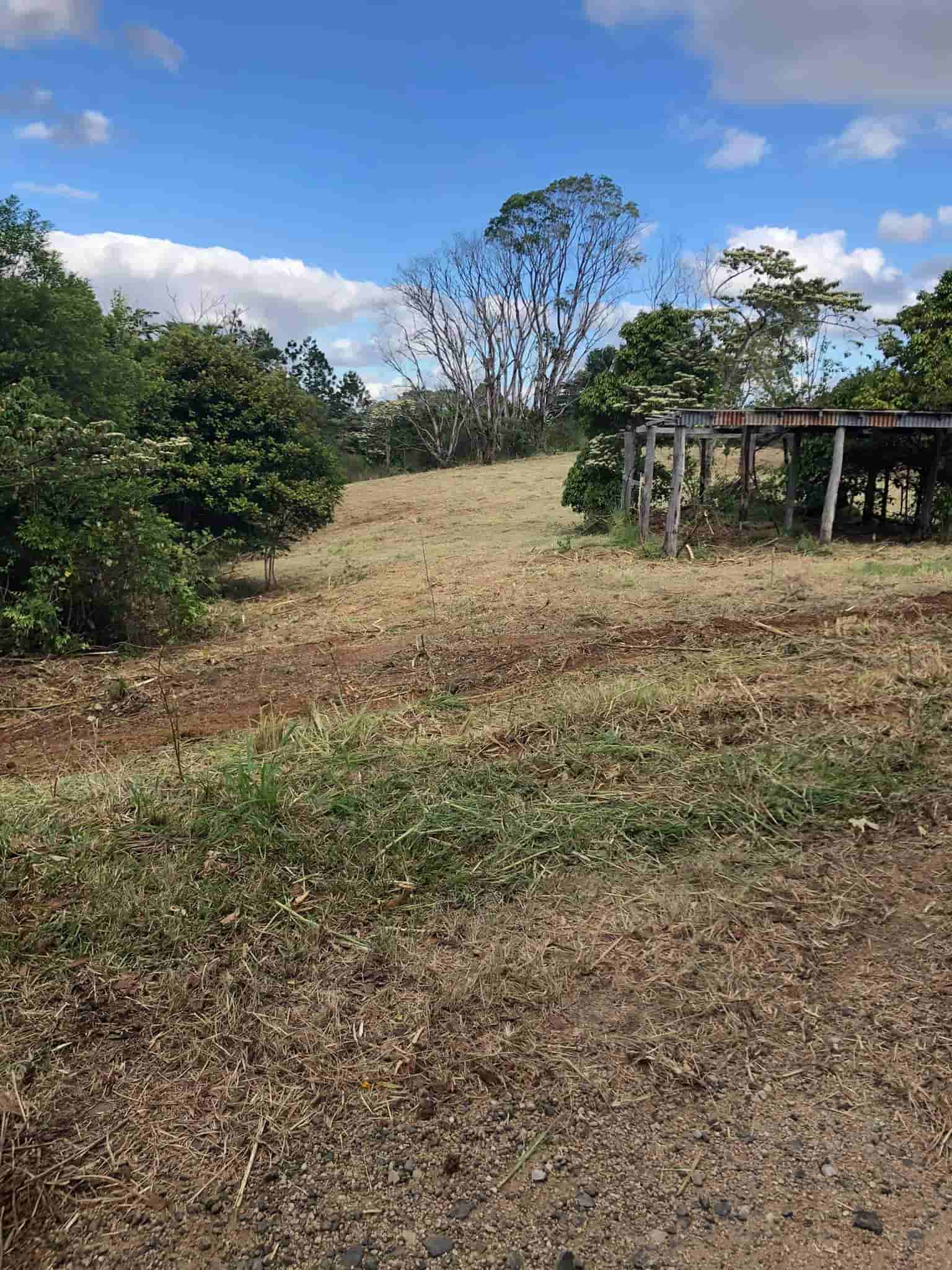 Open Field — Green Clearing & Maintenance in Mackay, QLD