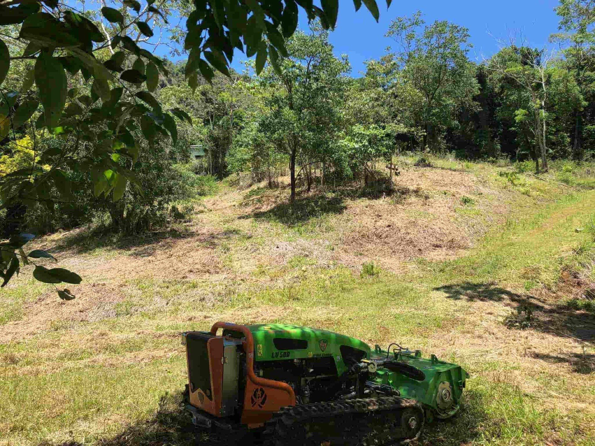 Field After — Green Clearing & Maintenance in Mackay, QLD