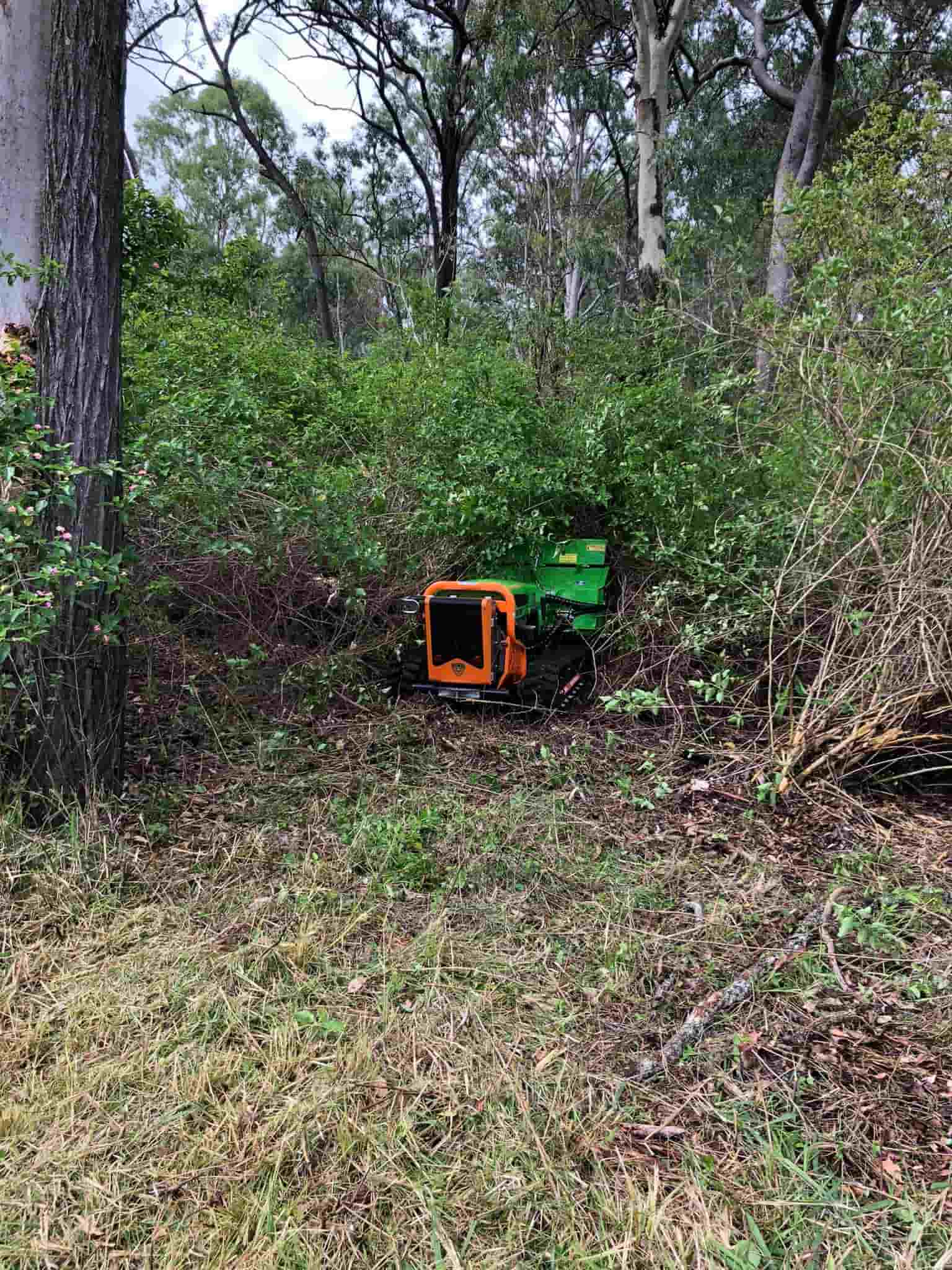 Land Clearing Before — Green Clearing & Maintenance in Mackay, QLD