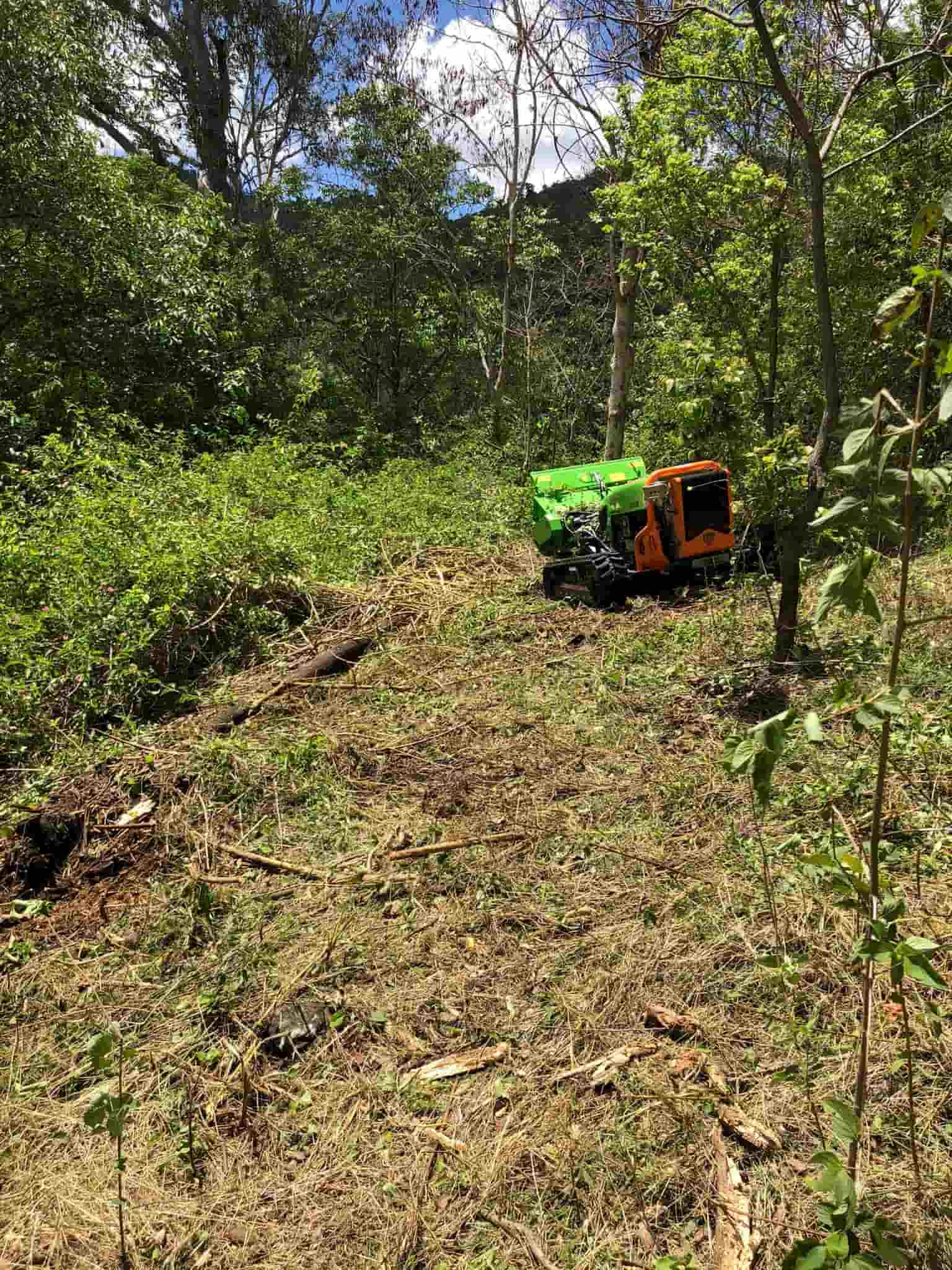 On Going Land Clearing — Green Clearing & Maintenance in Mackay, QLD