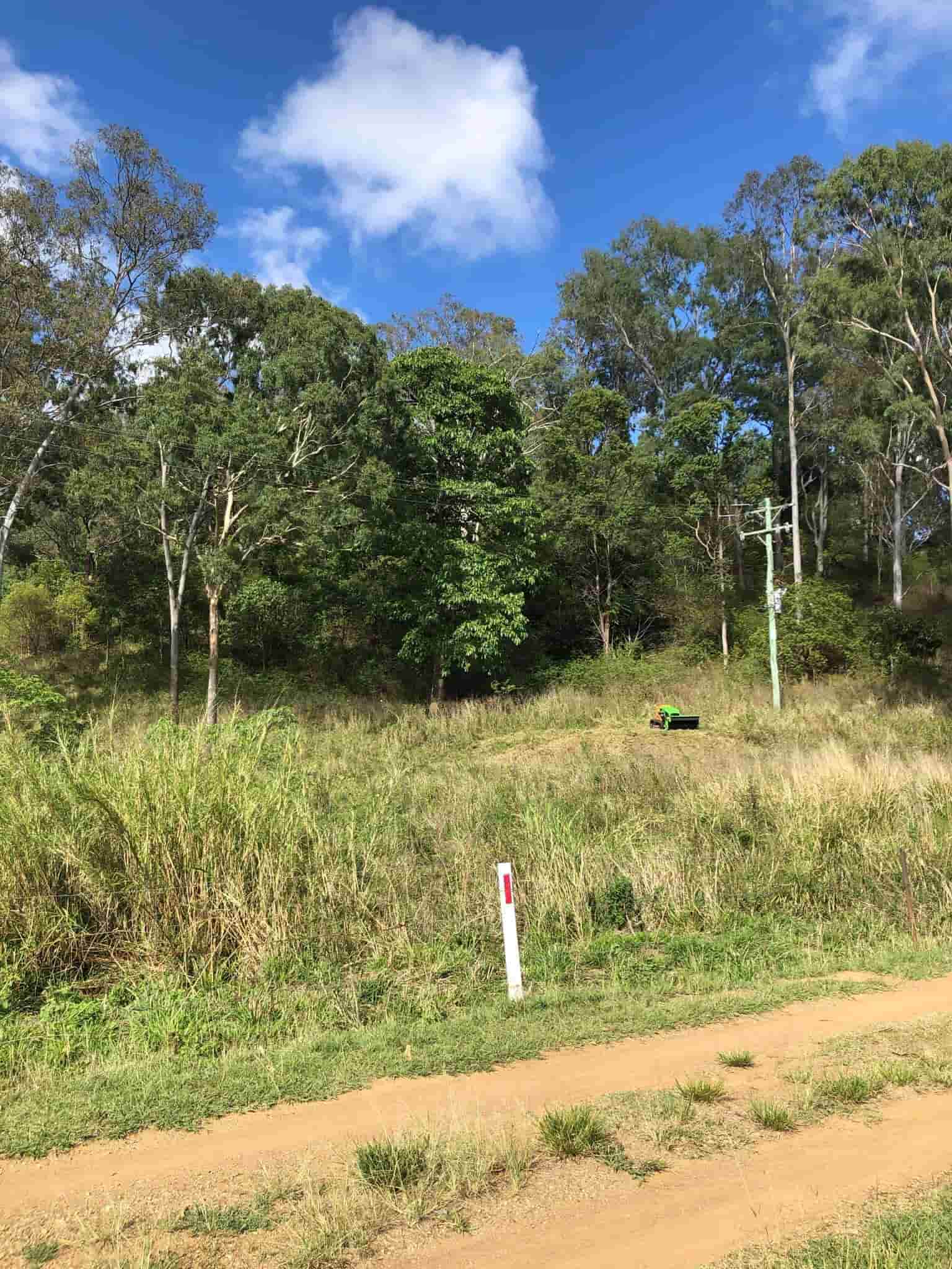 Field Before — Green Clearing & Maintenance in Mackay, QLD