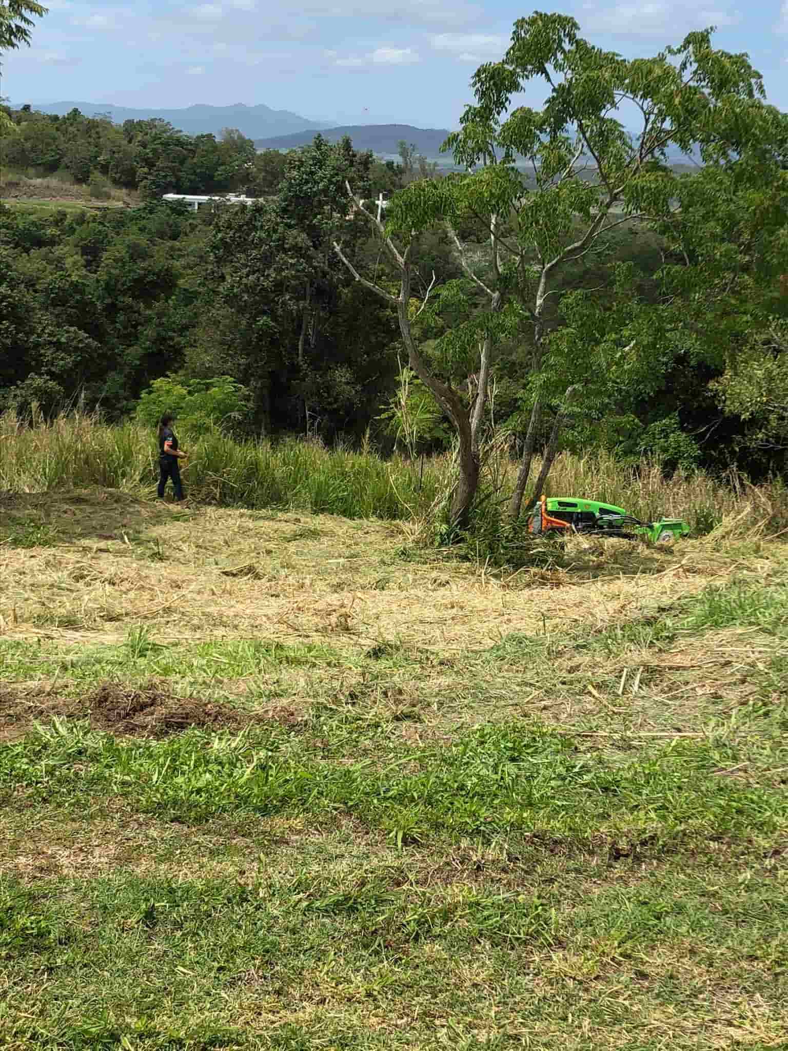 Woman Monitoring the Land Clearing Process — Green Clearing & Maintenance in Mackay, QLD