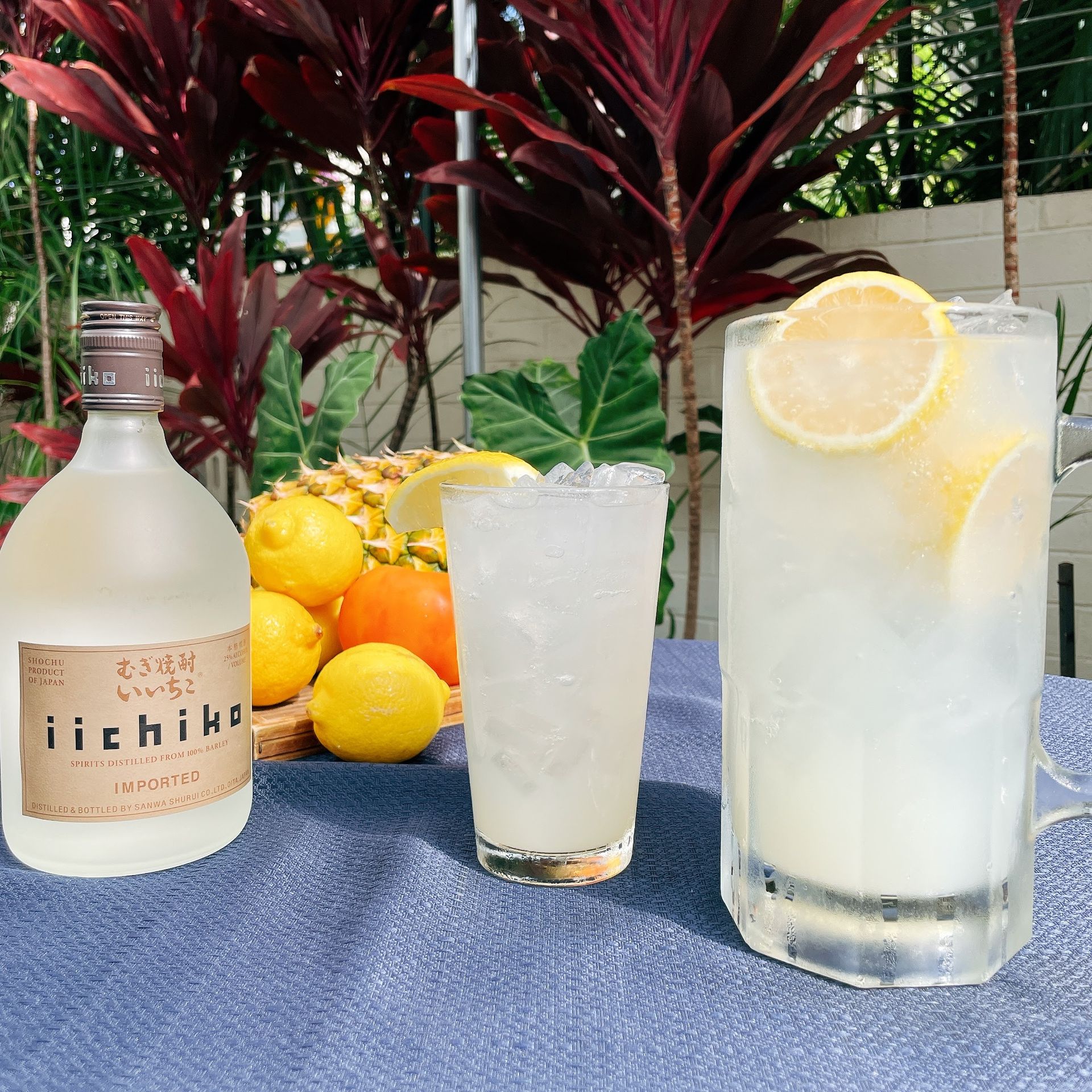 zigu_mega-lemon-sour